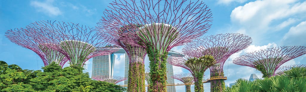 Around the World Cruise 2025 | Oceania Cruises